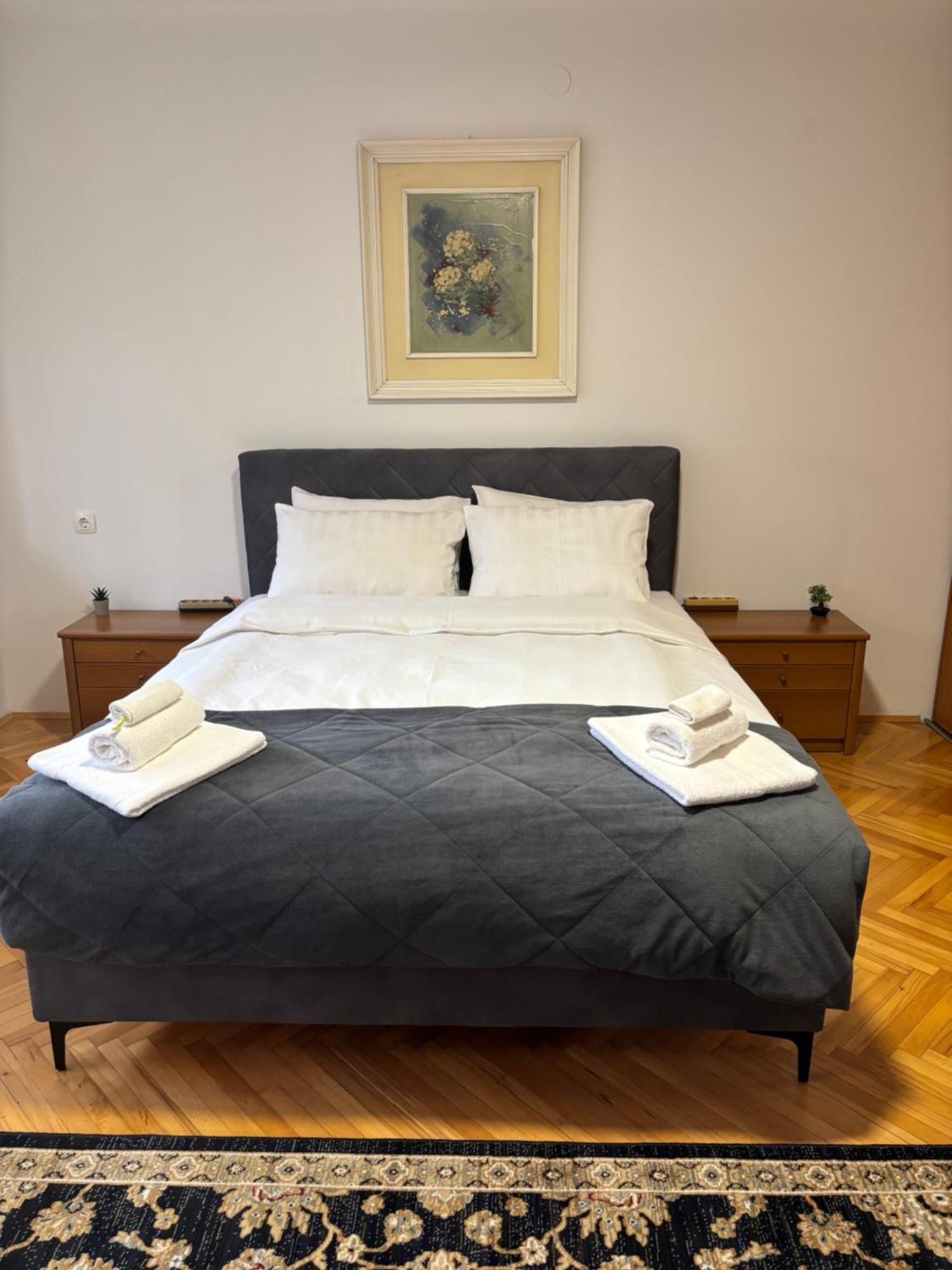 Zotovic Apartment