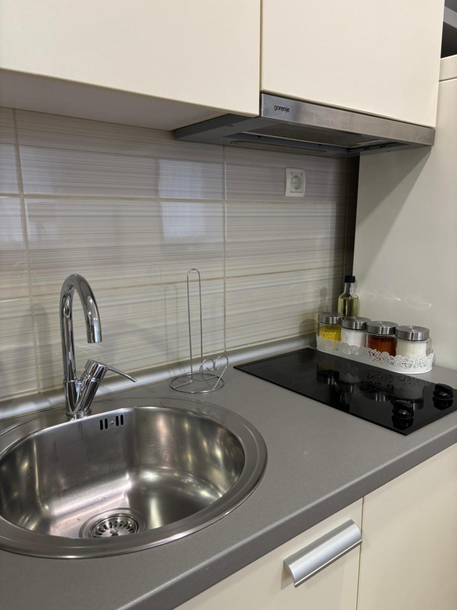 Apartment Zotovic *