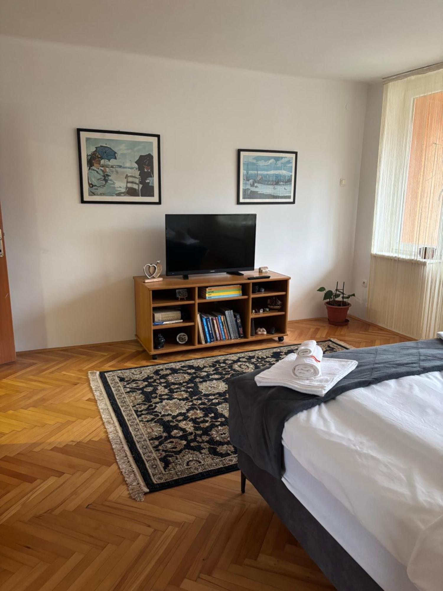 Zotovic Apartment *