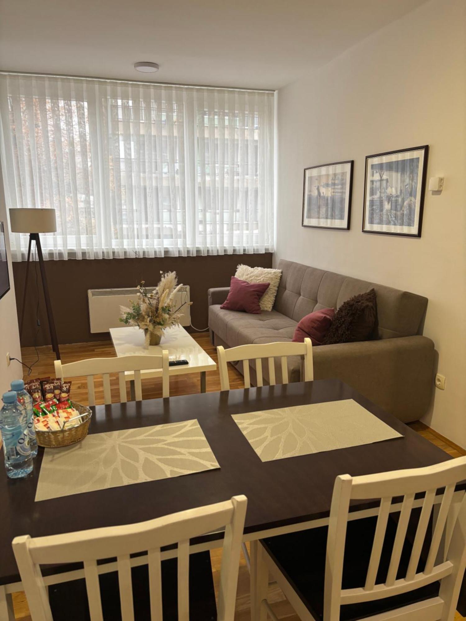 Apartment Zotovic *