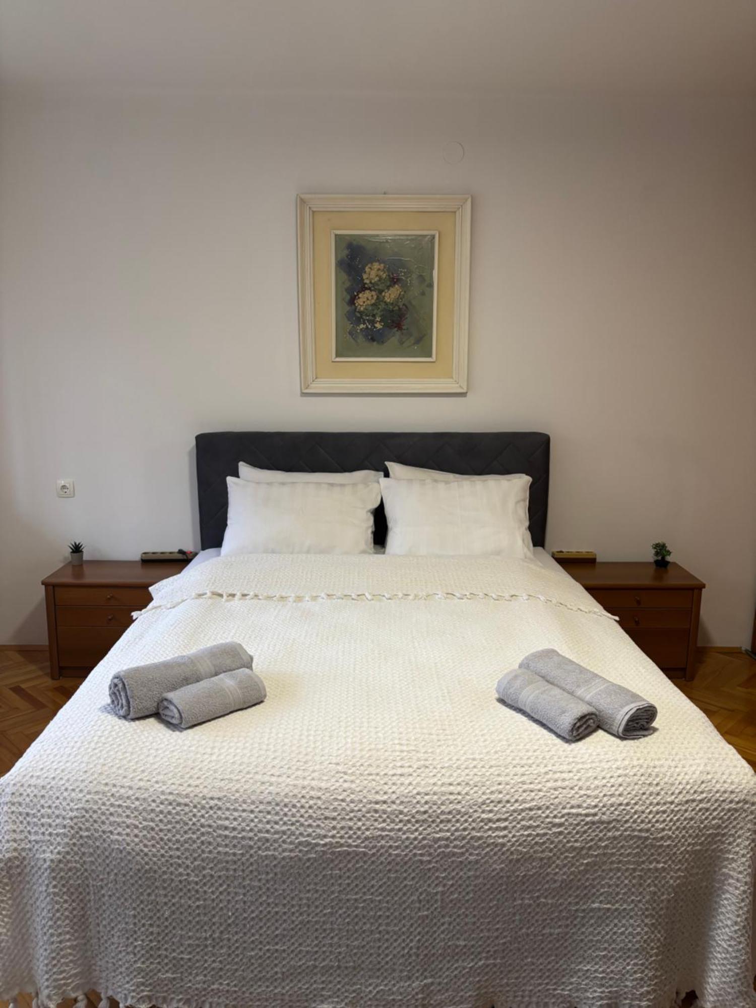 Zotovic Apartment