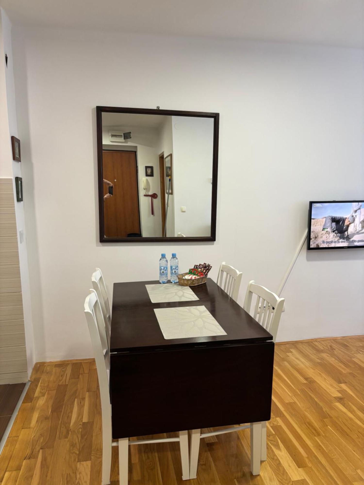 Apartment Zotovic