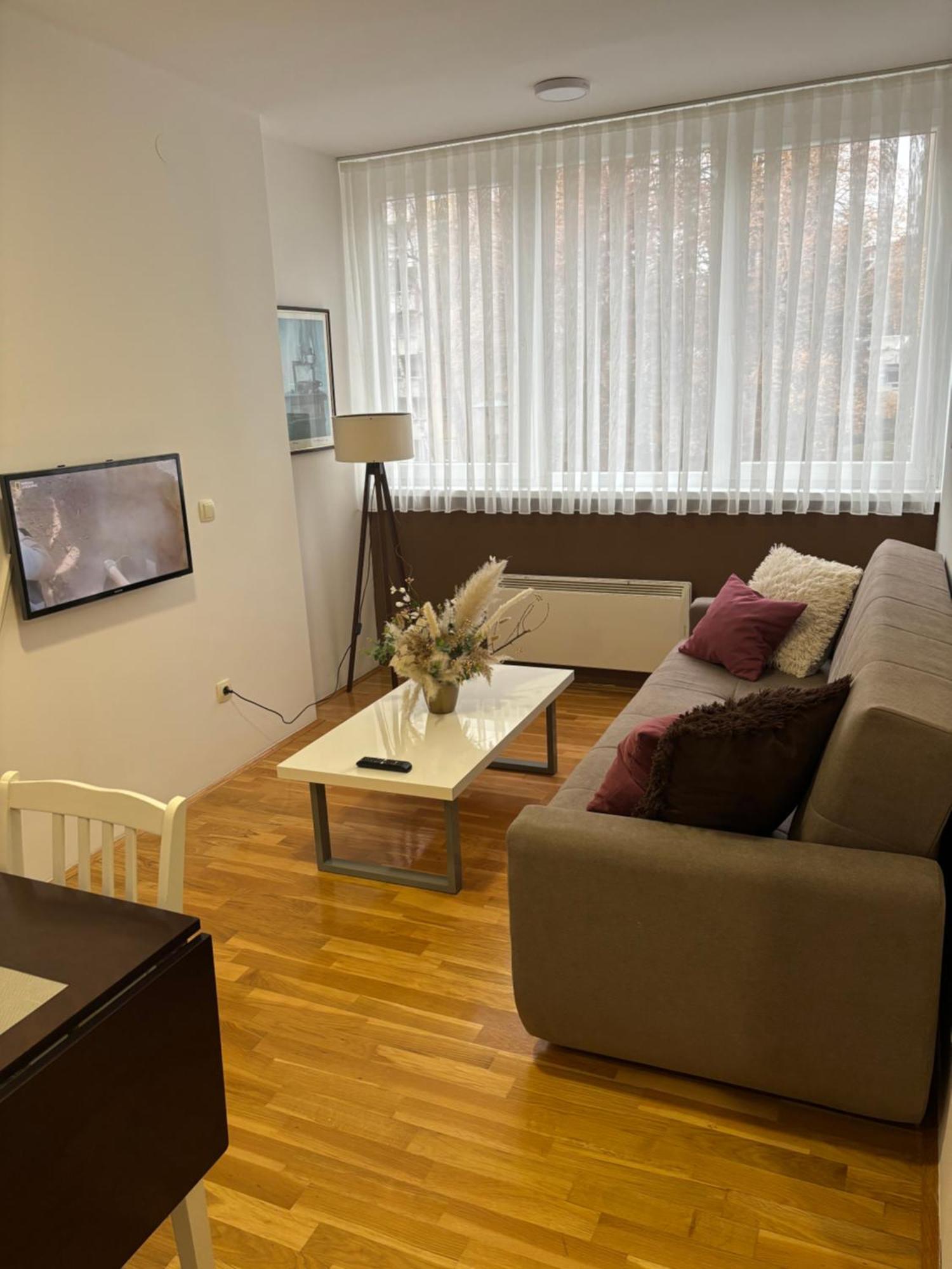 Apartment Zotovic